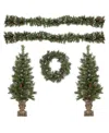 Northlight 4' Pre- Lit Frosted Verona Berry Pine Artificial Christmas Entryway Set, 5 Piece In Green