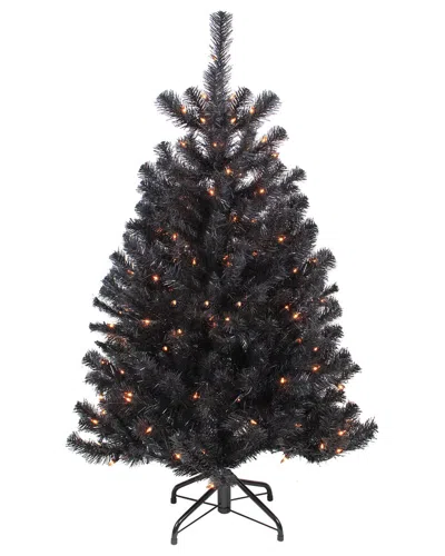 Northlight 4ft Pre-lit Noble Spruce Artificial Halloween Tree In Black