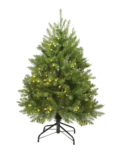 Northlight 4ft Pre-lit Full Northern Pine Artificial Christmas Tree - Warm  Clear Led Lights In Green