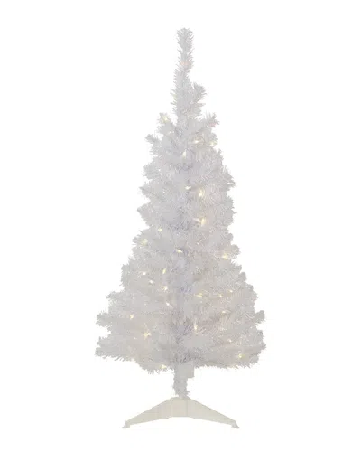 Northlight 4ft Pre-lit Rockport White Pine Artificial Christmas Tree Clear  Lights