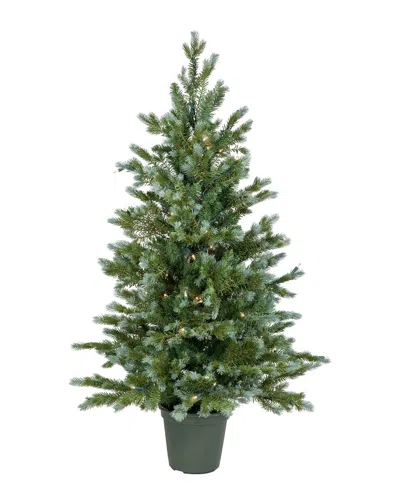 Northlight 4ft Real Touch Blue Spruce Artificial Potted Christmas Tree - Clear  Lights In Green