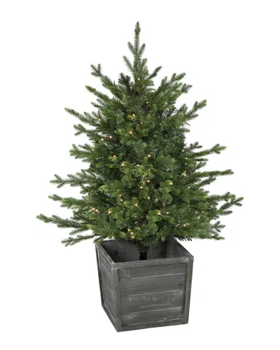 Northlight 4ft Real Touch Pre-lit Potted Deluxe Russian Pine Artificial  Christmas Tree - Warm White In Green