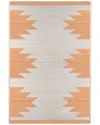 Northlight 4x6ft Aztec Print Rectangular Outdoor Area Rug