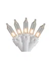 Northlight 50 Clear Mini Christmas Light Set With 10' Wire In Clear