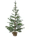 NORTHLIGHT NORTHLIGHT 5FT GREEN PONDEROSA PINE ARTIFICIAL CHRISTMAS TREE