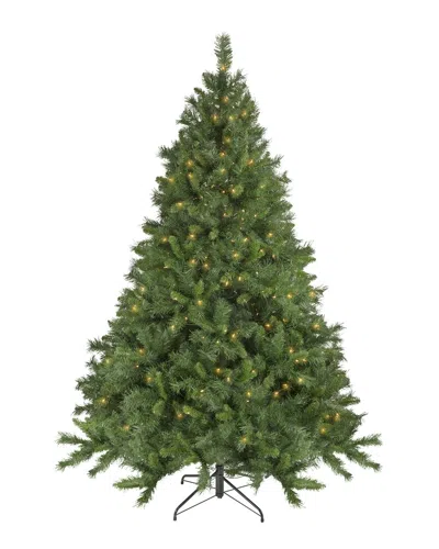 Northlight 6.5ft Pre-lit Chatham Pine Artificial Christmas Tree Clear Lights In Green