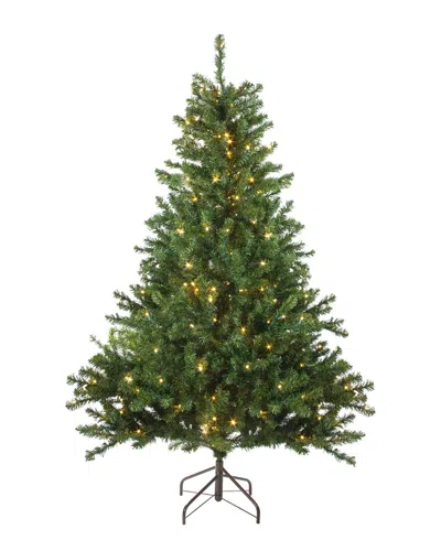 Northlight 6ft Pre-lit Medium Canadian Pine Artificial Christmas Tree -  Candlelight Led Lights In Green