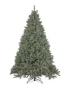 NORTHLIGHT NORTHLIGHT 7.5FT PRE-LIT FULL SPRUCE ARTIFICIAL CHRISTMAS TREE