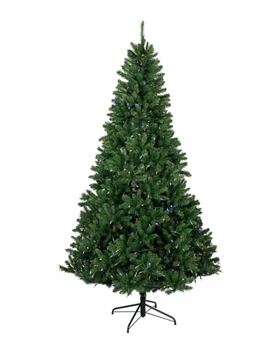 Northlight 7.5ft Pre-lit Manchester Pine Instant Connect Artificial Tree