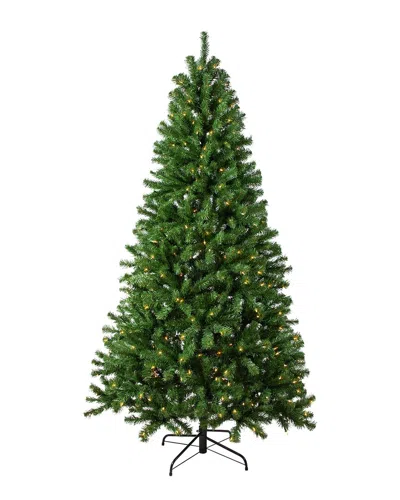 Northlight 7ft Pre-lit Full Pendleton Spruce Artificial Christmas Tree - Clear  Lights In Green