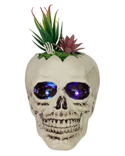 Northlight 8.75in Led Lighted Succulent Halloween Skull Decoration In White