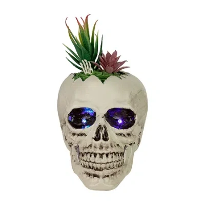 Northlight 8.75in Led Lighted Succulent Skull Lighted Halloween Tabletop Decor In Neutral