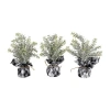 Northlight Mini Frosted Pine Artificial Christmas Trees In Multi