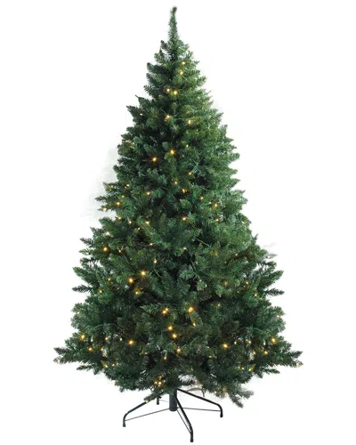 Northlight 9.5ft Pre-lit Full Buffalo Fir Artificial Christmas Tree - Warm White Led Lights In Green