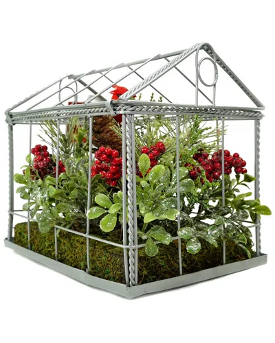 Northlight 9in Red Cardinal Boxwood & Berry Artificial Christmas Greenhouse Arrangement