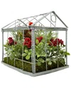 Northlight 9in Red Cardinal Boxwood & Berry Artificial Christmas Greenhouse Arrangement