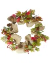 Northlight Berry And Pine Cones Artificial Thanksgiving Wreath Unlit, 18" In Beige