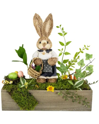 Northlight Boxed Garden Arrangement With Bunny Decoration In Brown