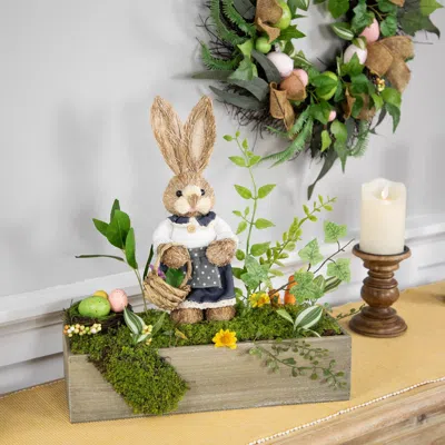 Northlight Boxed Garden Arrangement With Bunny Easter Decoration In Brown
