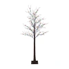 Northlight Brown Led Lighted Frosted Twig Multi-color Lights 6 Foot Pre-lit Christmas Tree In Brown