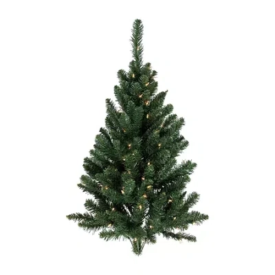 Northlight Buffalo Fir With Clear Lights 3 Foot Pre-lit Christmas Tree In Green
