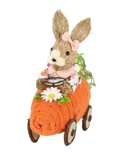Northlight Bunny With Carrot Car Decoration In Orange
