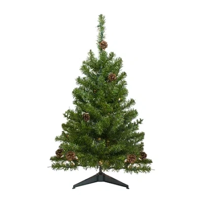 Northlight Canadian 3 Foot Pre-lit Pine Christmas Tree In Green