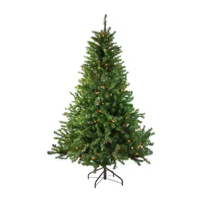 Northlight Canadian 5 Foot Pre-lit Pine Christmas Tree In Green