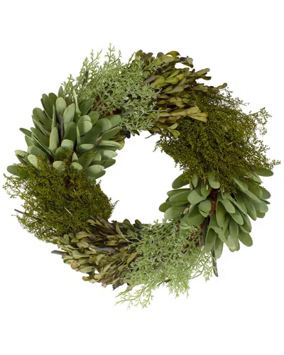Northlight Cedar Succulent & Day Grass Artificial Wreath In Green