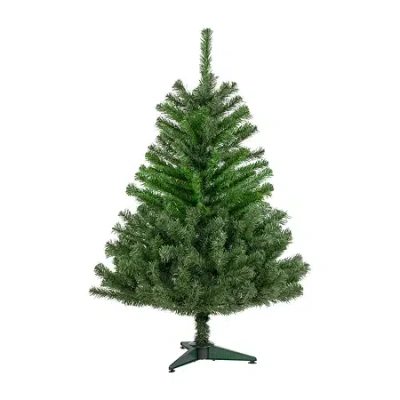 Northlight Colorado Spruce Full Unlit 4 Foot Spruce Christmas Tree In Green