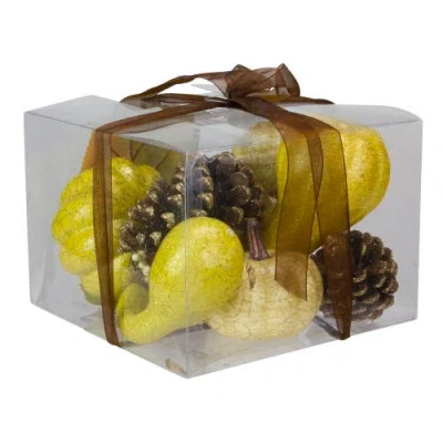 Northlight Crackled And Glittered Fall Harvest Pumpkin And Pine Cone Decoration Set In Multi