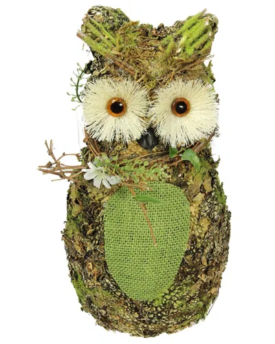 Northlight Decorative Owl Spring Table Top Figure In Brown
