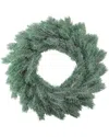 Northlight 16" Decoratively Frosted Green Pine Artificial Christmas Wreath- Unlit
