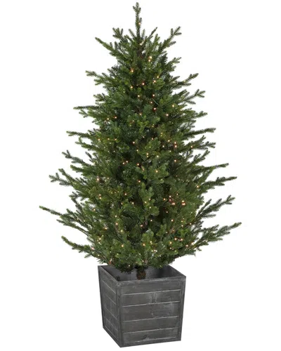 Northlight Dnu Unprofitable  6ft Pre-lit Potted Deluxe Russian Pine Artificial  Christmas Tree Warm W In Green