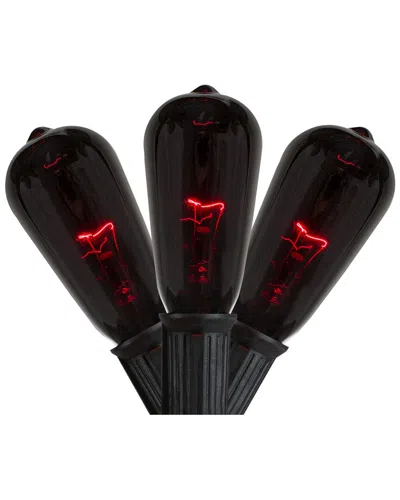 Northlight Edison Set Of 10 Halloween Lights In Black