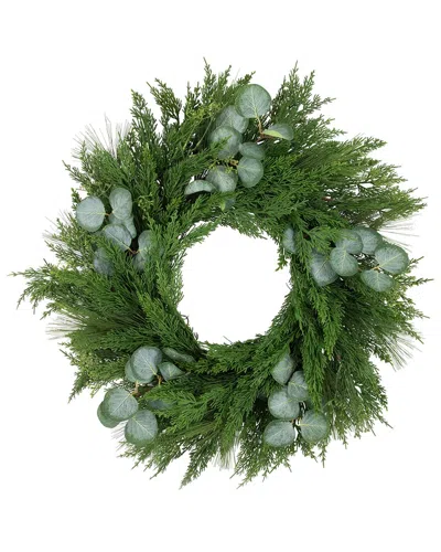 Northlight Eucalyptus & Mixed Pine Artificial Christmas Wreath In Green