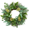 Northlight Eucalyptus & Olive Leaf Twig Spring Wreath In Green