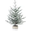 Northlight Flocked Potted Artificial Christmas Snowy Tree In Green
