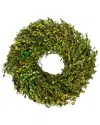 Northlight Foliage Artificial Spring Wreath In Green
