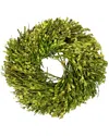 Northlight Foliage Artificial Spring Wreath In Green