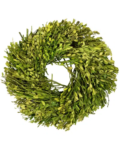 Northlight Foliage Artificial Spring Wreath In Green