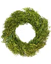 Northlight Foliage Artificial Wreath In Green
