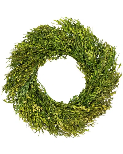 Northlight Foliage Artificial Wreath In Green