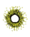 Northlight Forsythia And Grapevine Spring Wreath Yellow 24-inch In Yellow
