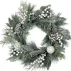 Northlight Frosted Mixed Pine And Pine Cone Artificial Christmas Wreath, 24-inch, Unlit In Green