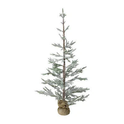 Northlight Frosted Slim 5 Foot Pine Christmas Tree In White