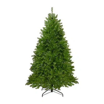Northlight Full Northern Unlit 10 Foot Pine Christmas Tree In Green