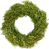 Northlight Green Foliage Artificial Spring Wreath In Green