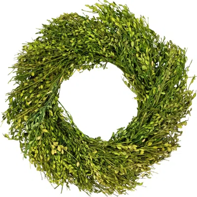 Northlight Green Foliage Artificial Spring Wreath