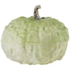 Northlight Heirloom Winter Gourd Fall Harvest Decoration In Green